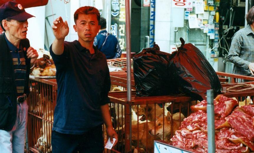 Сцена на корейском рынке. Фото Animal People Forum (CC BY-NC 2.0)